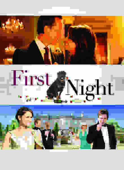 First Night (2010) Starring Richard E. Grant on DVD - Image 5