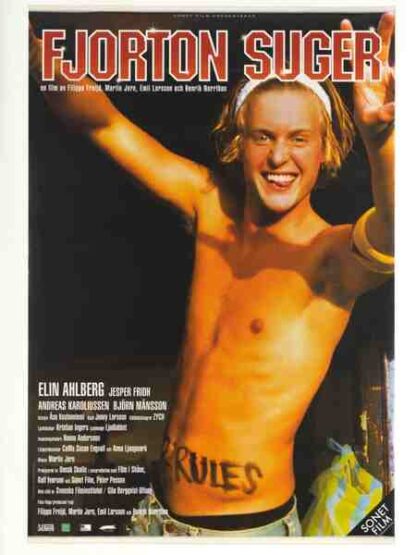 Fjorton suger (2004) with English Subtitles on DVD - Image 2