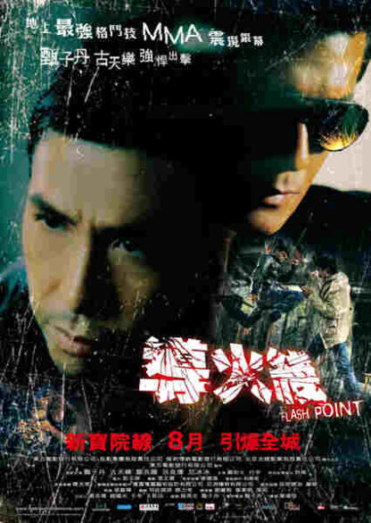 Flash Point (2007) with English Subtitles on DVD - Image 5