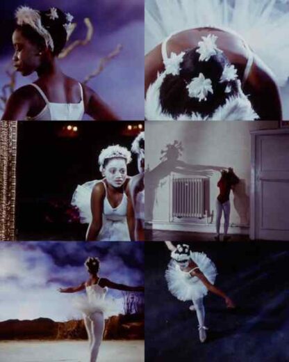 Flight of the Swan (1992) Starring Hilja Lindsay Parkinson on DVD - Image 2