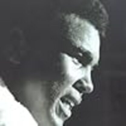Float Like a Butterfly, Sting Like a Bee (1969) with English Subtitles on DVD - Image 3