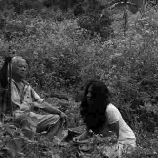Florentina Hubaldo, CTE (2012) with English Subtitles on DVD