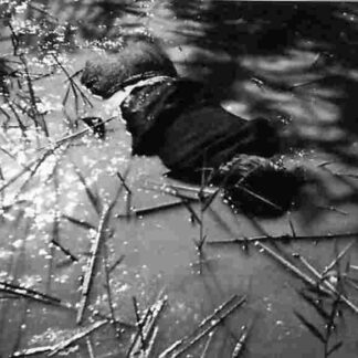 Flucht ins Schilf (1953) with English Subtitles on DVD