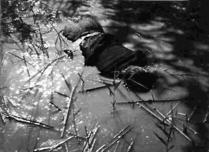 Flucht ins Schilf (1953) with English Subtitles on DVD