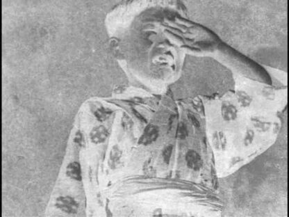 Flunky, Work Hard! (1931) with English Subtitles on DVD - Image 2