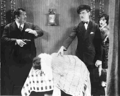 Fluttering Hearts (1927) with English Subtitles on DVD - Image 2