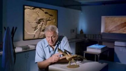 Flying Monsters 3D with David Attenborough (2011) Starring David Attenborough on DVD - Image 2