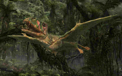 Flying Monsters 3D with David Attenborough (2011) Starring David Attenborough on DVD - Image 4