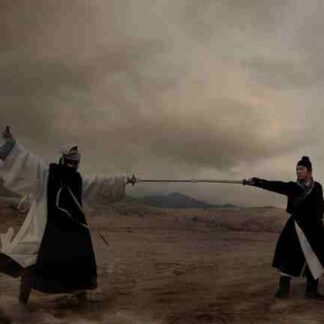 Flying Swords of Dragon Gate (2011) with English Subtitles on DVD