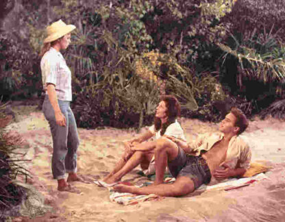 Follow That Dream (1962) Starring Elvis Presley on DVD - Image 3