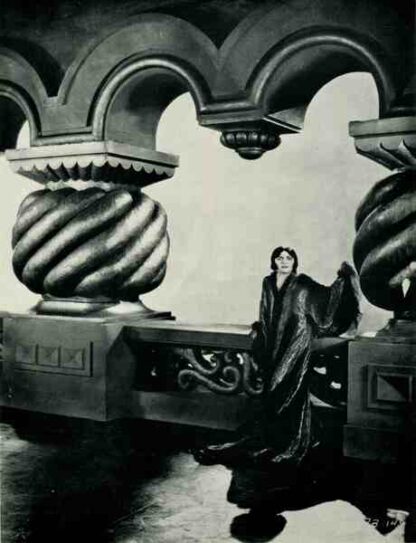 Forbidden Paradise (1924) with English Subtitles on DVD - Image 4
