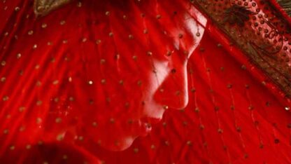 Foreign (2010) Starring Puja on DVD - Image 3