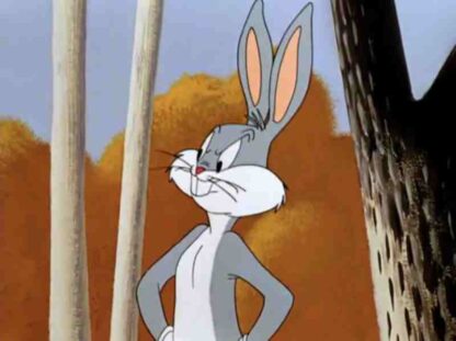 Foxy by Proxy (1952) Starring Mel Blanc on DVD - Image 2
