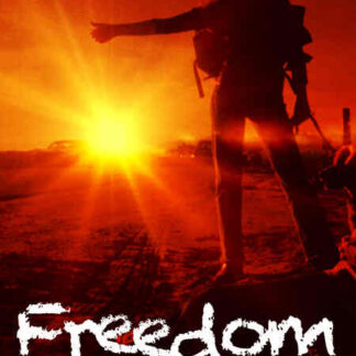 Freedom (1981) Starring Mare Winningham on DVD