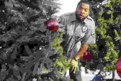 Friday After Next (2002) Starring Ice Cube on DVD - Image 4