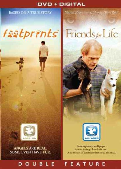 Friends for Life (2008) Starring Michael Flynn on DVD - Image 3