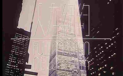 Full Moon in New York (1989) with English Subtitles on DVD - Image 3