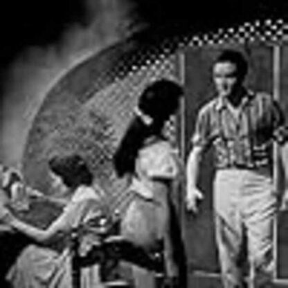Fun in Acapulco (1963) Starring Elvis Presley on DVD - Image 2