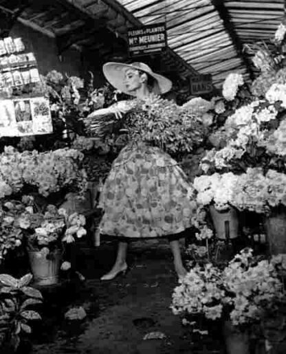Funny Face (1957) Starring Audrey Hepburn on DVD - Image 4