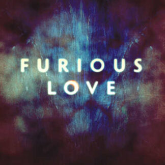 Furious Love (2010) Starring Darren Wilson on DVD