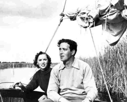 Fuss Over Feathers (1954) Starring John Gregson on DVD - Image 2
