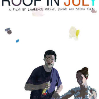Gabi on the Roof in July (2010) Starring Sophia Takal on DVD