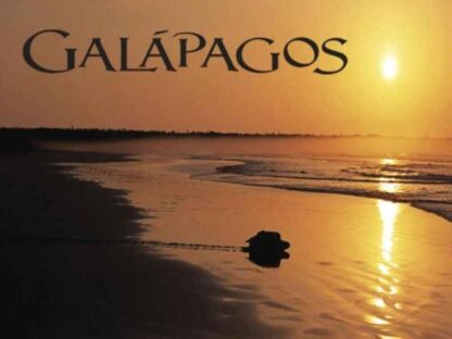 Galapagos (TV Series 2006–2006) (2006) Starring Tilda Swinton on DVD - Image 4