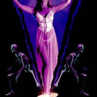 Game of Pleasure (1998) with English Subtitles on DVD