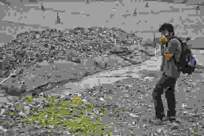 Garbage in the Garden of Eden (2012) with English Subtitles on DVD - Image 3