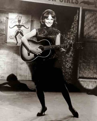 Get Yourself a College Girl (1964) Starring Mary Ann Mobley on DVD - Image 2