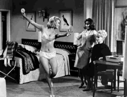 Get Yourself a College Girl (1964) Starring Mary Ann Mobley on DVD - Image 3