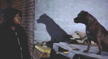 Ghost Dog: The Way of the Samurai (1999) Starring Forest Whitaker on DVD - Image 3