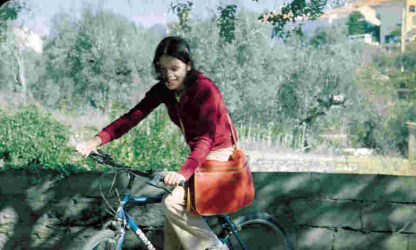 Glória (1999) with English Subtitles on DVD - Image 2