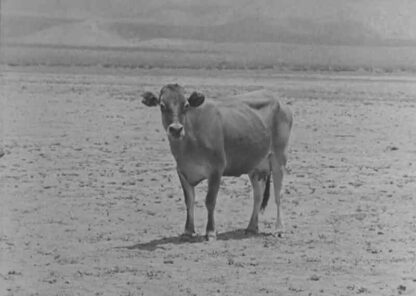 Go West (1925) with English Subtitles on DVD - Image 4