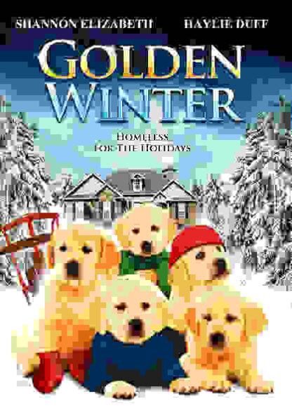 Golden Winter (2012) Starring Andrew Beckham on DVD