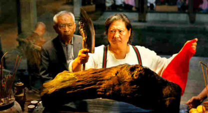Gong fu chu shen (2009) with English Subtitles on DVD - Image 2