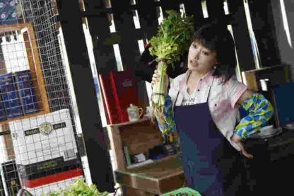 Gong fu chu shen (2009) with English Subtitles on DVD - Image 4