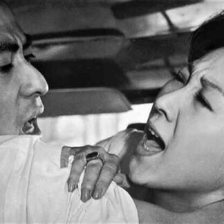Good-for-Nothing (1960) with English Subtitles on DVD