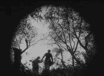 Gospoda Skotininy (1927) with English Subtitles on DVD - Image 2
