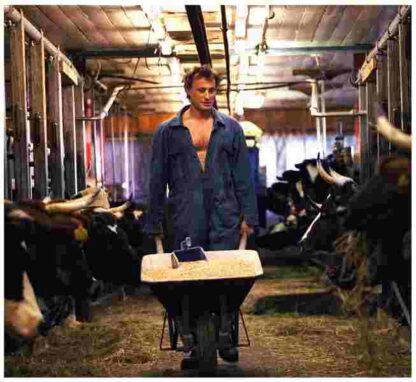 Grabben i graven bredvid (2002) with English Subtitles on DVD - Image 3