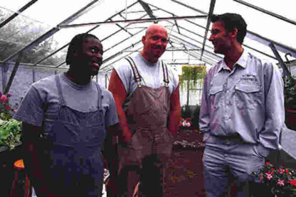 Greenfingers (2000) Starring Clive Owen on DVD - Image 2