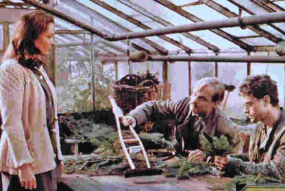 Group Portrait with a Lady (1977) with English Subtitles on DVD - Image 4