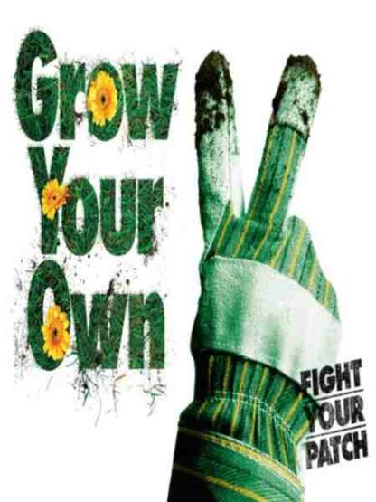 Grow Your Own (2007) Starring Benedict Wong on DVD
