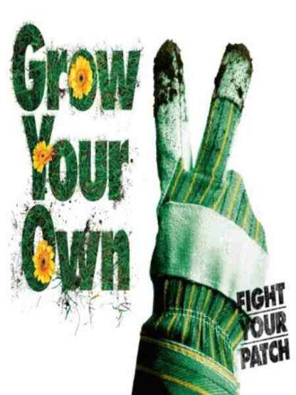 Grow Your Own (2007) Starring Benedict Wong on DVD - Image 2