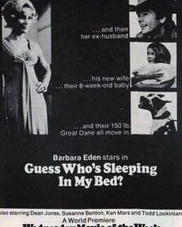 Guess Who's Been Sleeping in My Bed? (1973) DVD