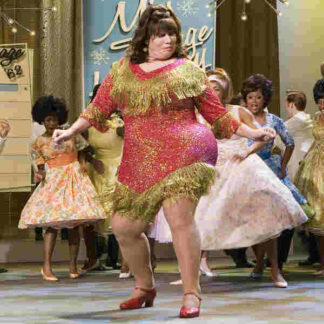 Hairspray (2007) Starring John Travolta on DVD