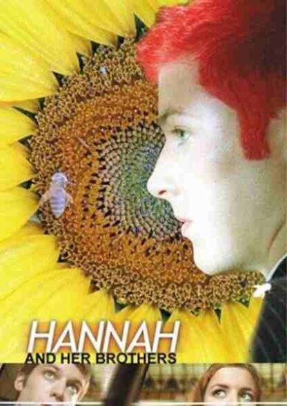 Hannah and Her Brothers (2000) with English Subtitles on DVD - Image 4