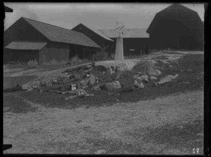 Hans nåds testamente (1919) with English Subtitles on DVD - Image 4