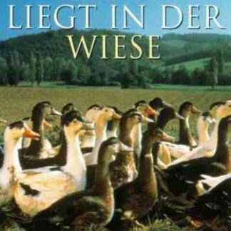 Happiness Is in the Field (1995) with English Subtitles on DVD