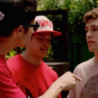 Hardflip (2012) Starring Randy Wayne on DVD